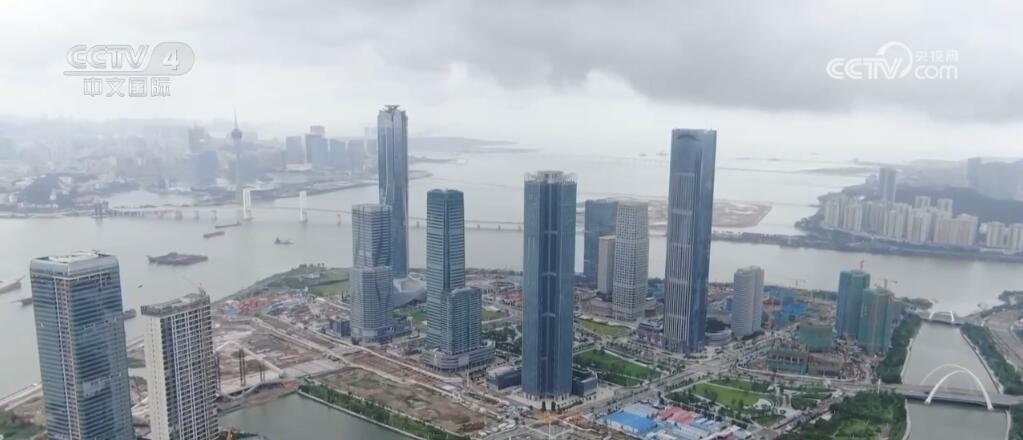 2025新奥门资料大全138期，新澳门资料大全第138期深度解析（2025年最新版）