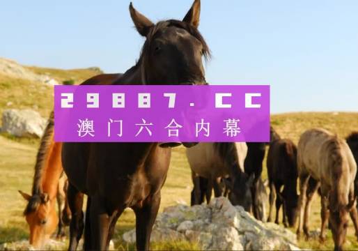 2025年澳门管家婆三肖100%，探索未来，澳门管家婆三肖预测在2025年的新篇章